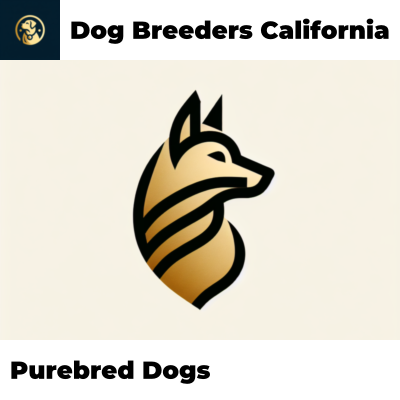 Purebred Dogs